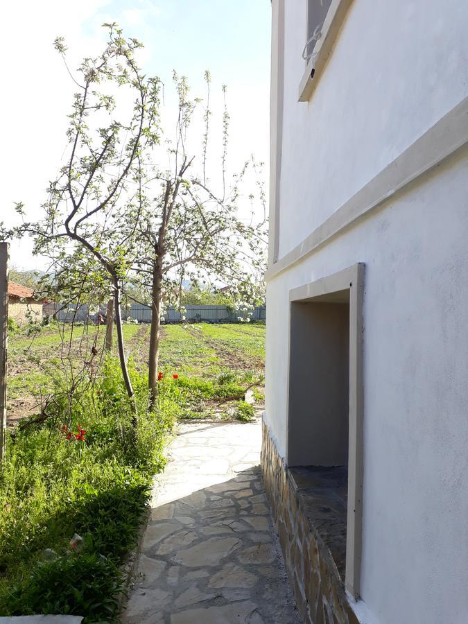 Popovi Koshari Guest House Dolno Panicherevo Exterior foto