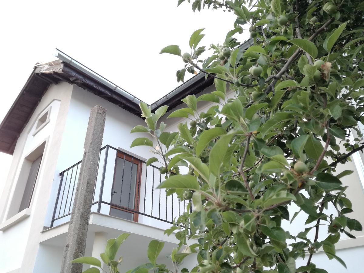 Popovi Koshari Guest House Dolno Panicherevo Exterior foto